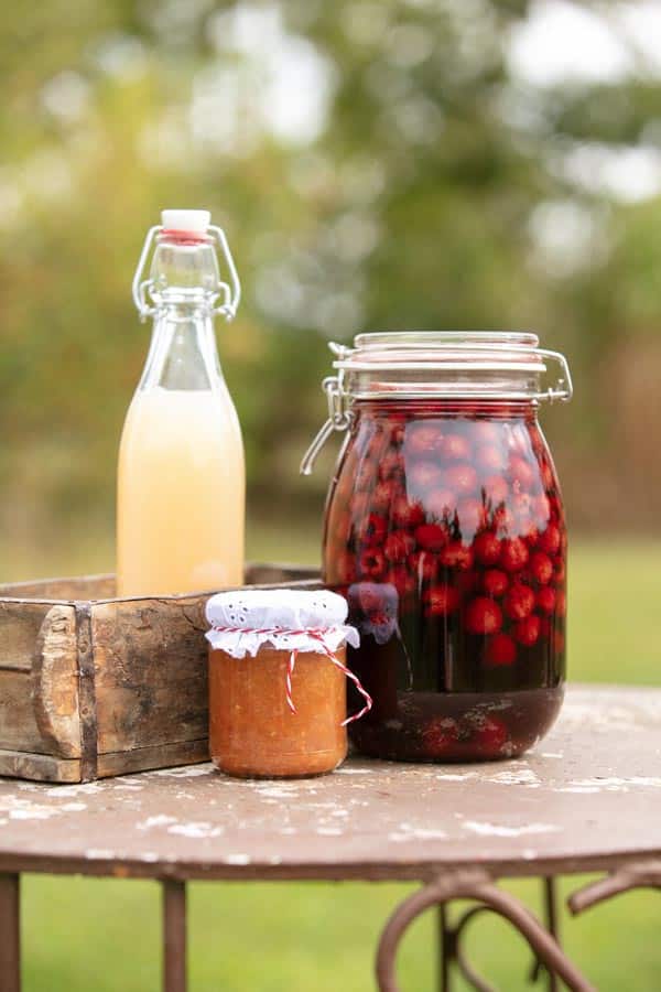 ASG_2868 Kopie Selbst Eingemachtes und eigener Saft aus dem Garten von Katrin Schäfer – Ernähungstherapeutin und Coach
