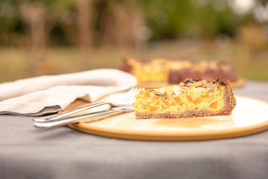 ernaehrung-header-mobil Tablett mit Kürbiskuchen – Essen Sie sich gesund!