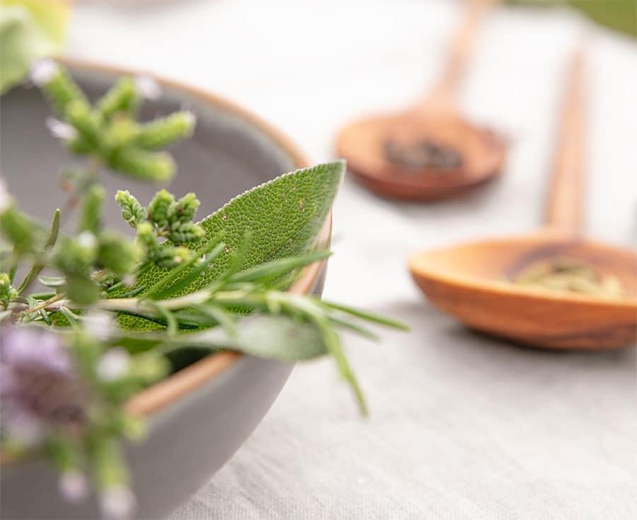 header-mobil-ernaehrungsberatung Kräuter und Kochlöffel auf einem Tisch im Garten – Katrin Schäfer, Ernährungsberaterin