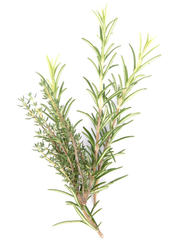 kraeuter-3 Kräuter aus dem Garten von Katrin Schäfer – Ernährungstherapeutin & Coachin