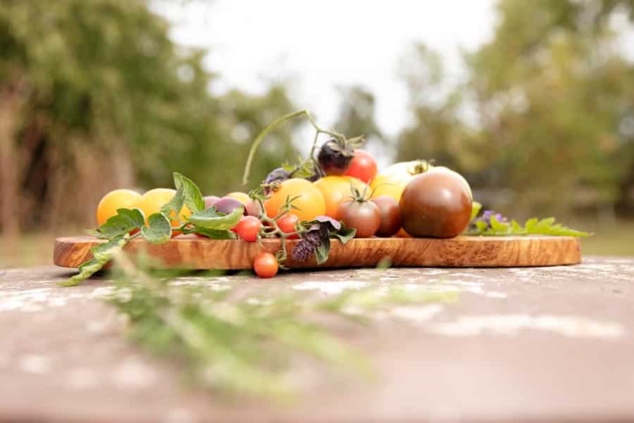 _ASG_3043 Kopie Holzbrett it frischen Tomaten im Garten von Ernährungsberaterin Katrin Schäfer