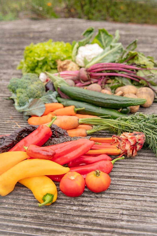 ASG_3310 Kopie GemĂŒse aus dem Garten von Katrin SchĂ€fer â ErnĂ€hungstherapeutin und Coach