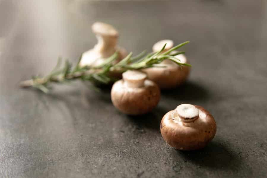 ASG_3492 Kopie Frische Champignons mit Rosmaring in der Küche von Katrin Schäfer – Ernährungswissenschaftlerin und Coachin